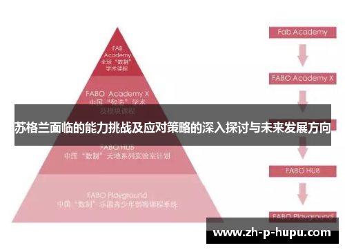 苏格兰面临的能力挑战及应对策略的深入探讨与未来发展方向