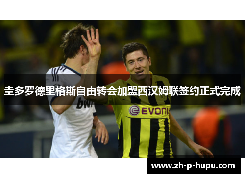 圭多罗德里格斯自由转会加盟西汉姆联签约正式完成
