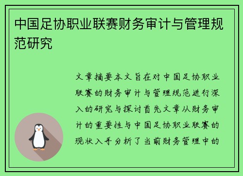 中国足协职业联赛财务审计与管理规范研究